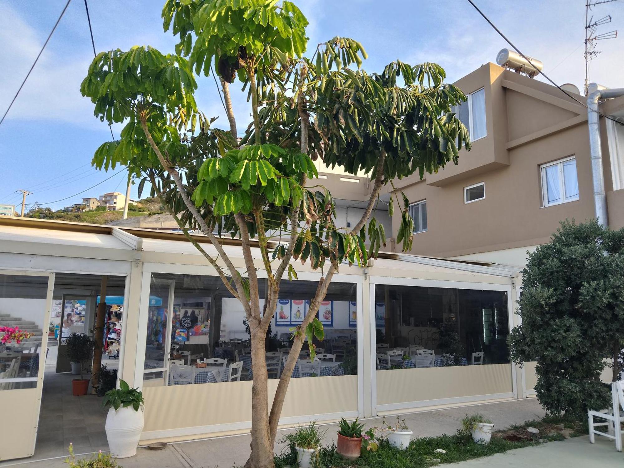 Anatoli Lygaria Apartments On The Beach Ligaria  Extérieur photo